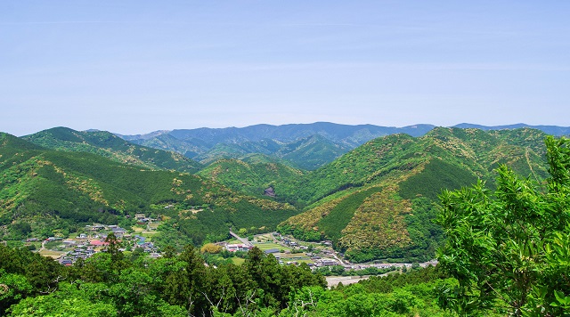 道の駅きっぷ 和歌山県田辺市干支めぐりキャンペーン 全7駅きっぷ他11点セット 道の駅きっぷ 和歌山県田辺市干支めぐりキャンペーン 全7駅きっぷ他